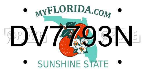 DV7793N Florida License Plate