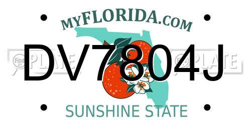 DV7804J Florida License Plate