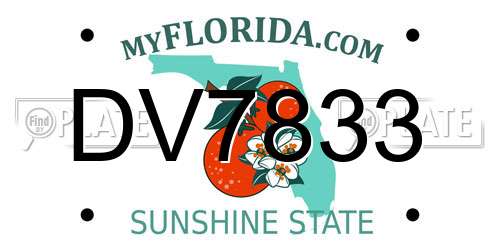 DV7833 Florida License Plate
