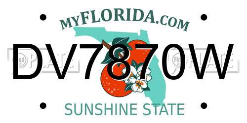 DV7870W Florida License Plate