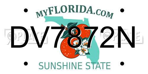 DV7872N Florida License Plate