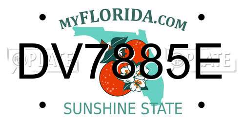 DV7885E Florida License Plate