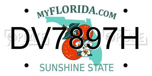DV7897H Florida License Plate