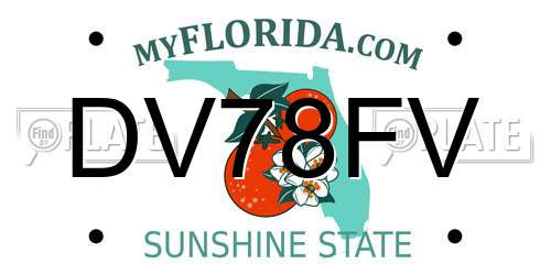 DV78FV Florida License Plate