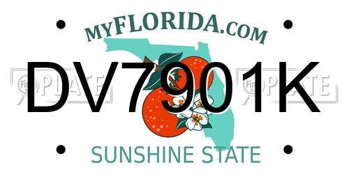 DV7901K Florida License Plate