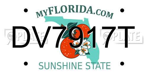 DV7917T Florida License Plate