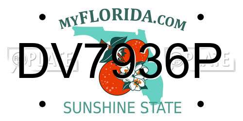 DV7936P Florida License Plate