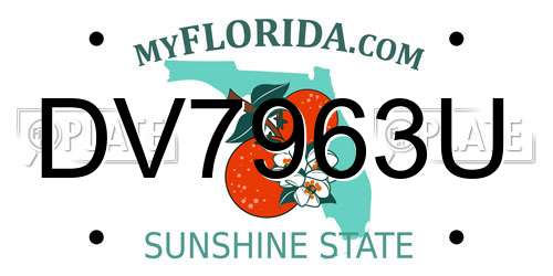 DV7963U Florida License Plate