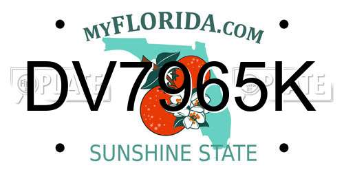 DV7965K Florida License Plate