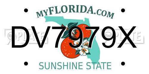 DV7979X Florida License Plate