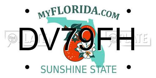 DV79FH Florida License Plate