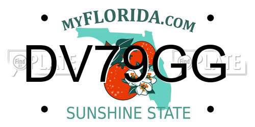 DV79GG Florida License Plate