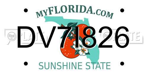 DV7I826 Florida License Plate