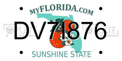 DV7I876 Florida License Plate