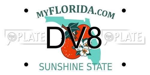 DV8 Florida License Plate