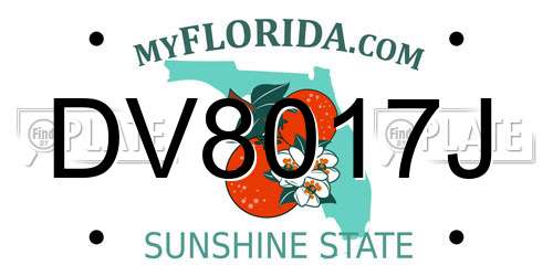DV8017J Florida License Plate