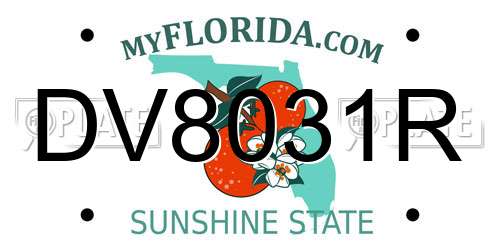 DV8031R Florida License Plate
