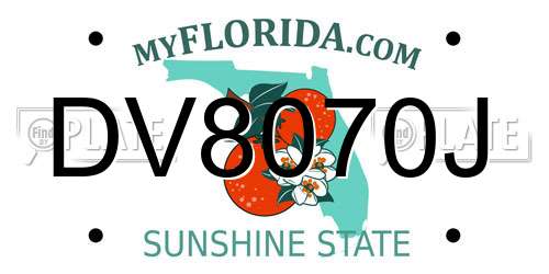 DV8070J Florida License Plate