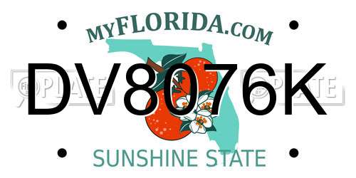 DV8076K Florida License Plate