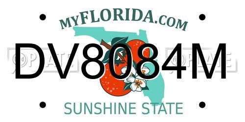 DV8084M Florida License Plate