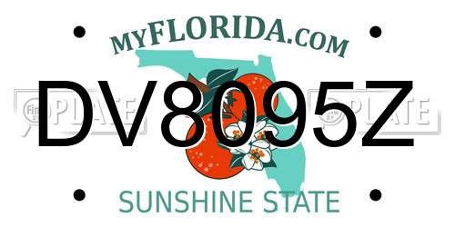 DV8095Z Florida License Plate