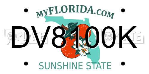 DV8100K Florida License Plate