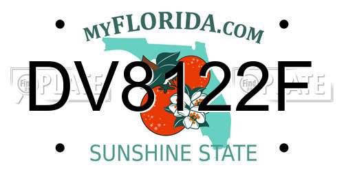 DV8122F Florida License Plate