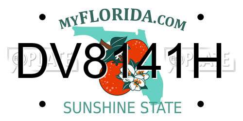 DV8141H Florida License Plate
