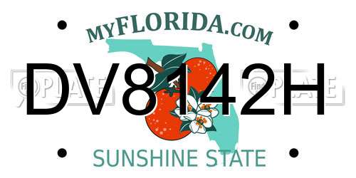 DV8142H Florida License Plate