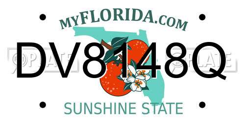 DV8148Q Florida License Plate