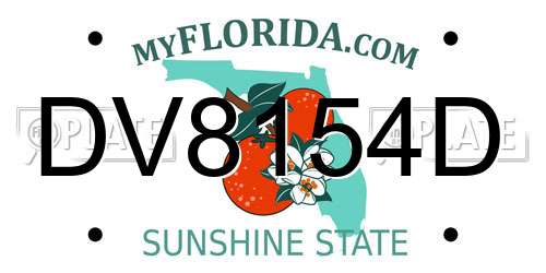 DV8154D Florida License Plate