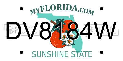 DV8184W Florida License Plate