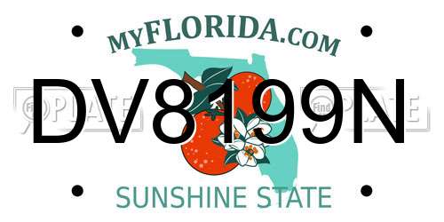 DV8199N Florida License Plate