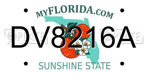 DV8216A Florida License Plate