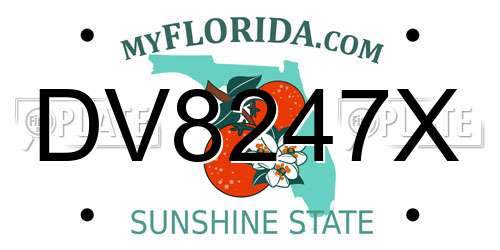 DV8247X Florida License Plate