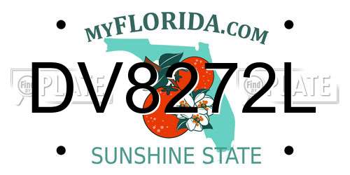 DV8272L Florida License Plate