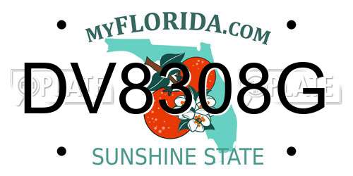 DV8308G Florida License Plate