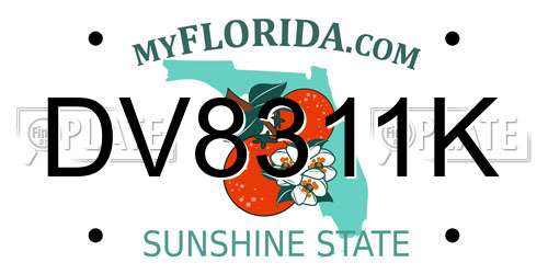 DV8311K Florida License Plate