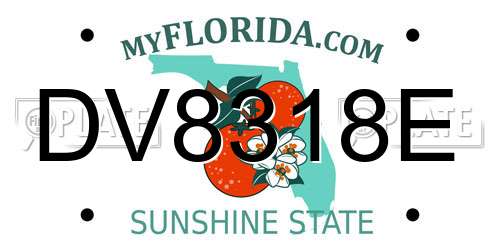 DV8318E Florida License Plate