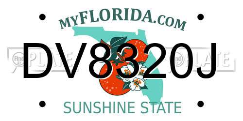 DV8320J Florida License Plate