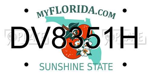 DV8351H Florida License Plate