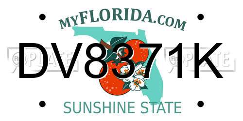 DV8371K Florida License Plate