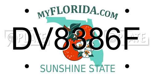 DV8386F Florida License Plate