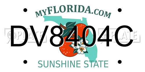 DV8404C Florida License Plate