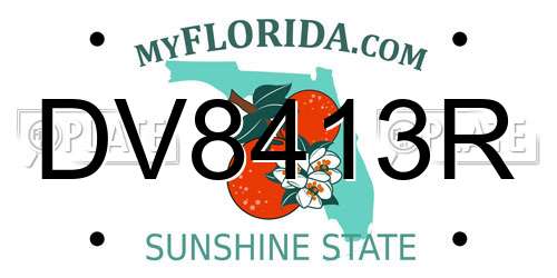 DV8413R Florida License Plate