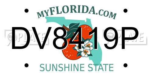 DV8419P Florida License Plate