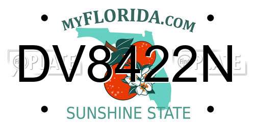 DV8422N Florida License Plate