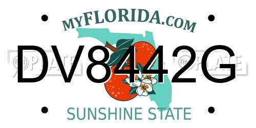 DV8442G Florida License Plate