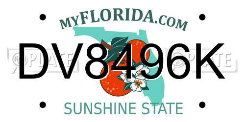 DV8496K Florida License Plate
