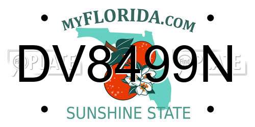 DV8499N Florida License Plate
